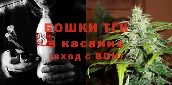 сатива Пестово